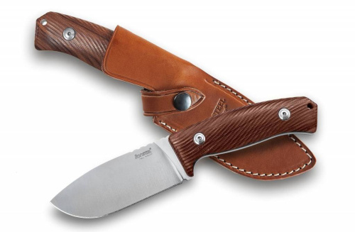 236 Lion Steel M3 ST Santos Wood фото 9