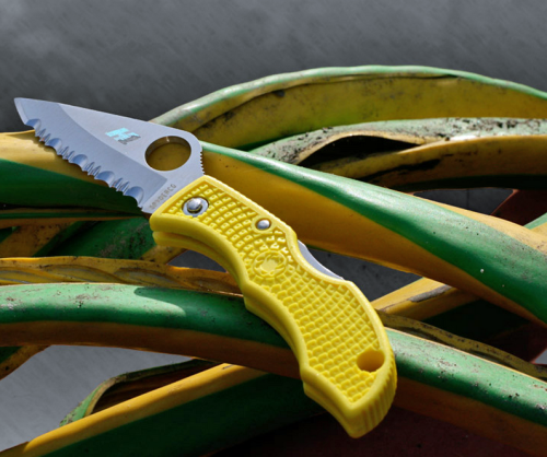 147 Spyderco Ladybug 3 Salt - LYLS3 фото 5 147 Spyderco Ladybug 3 Salt - LYLS3 фото 5