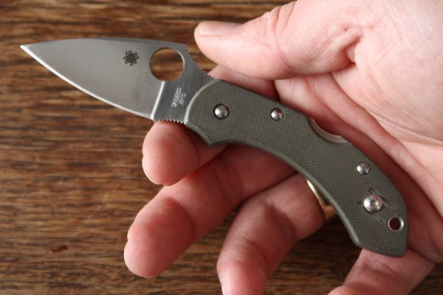 Складной нож Spyderco Dragonfly 2 Foliage Green - C28GPFG фото 2